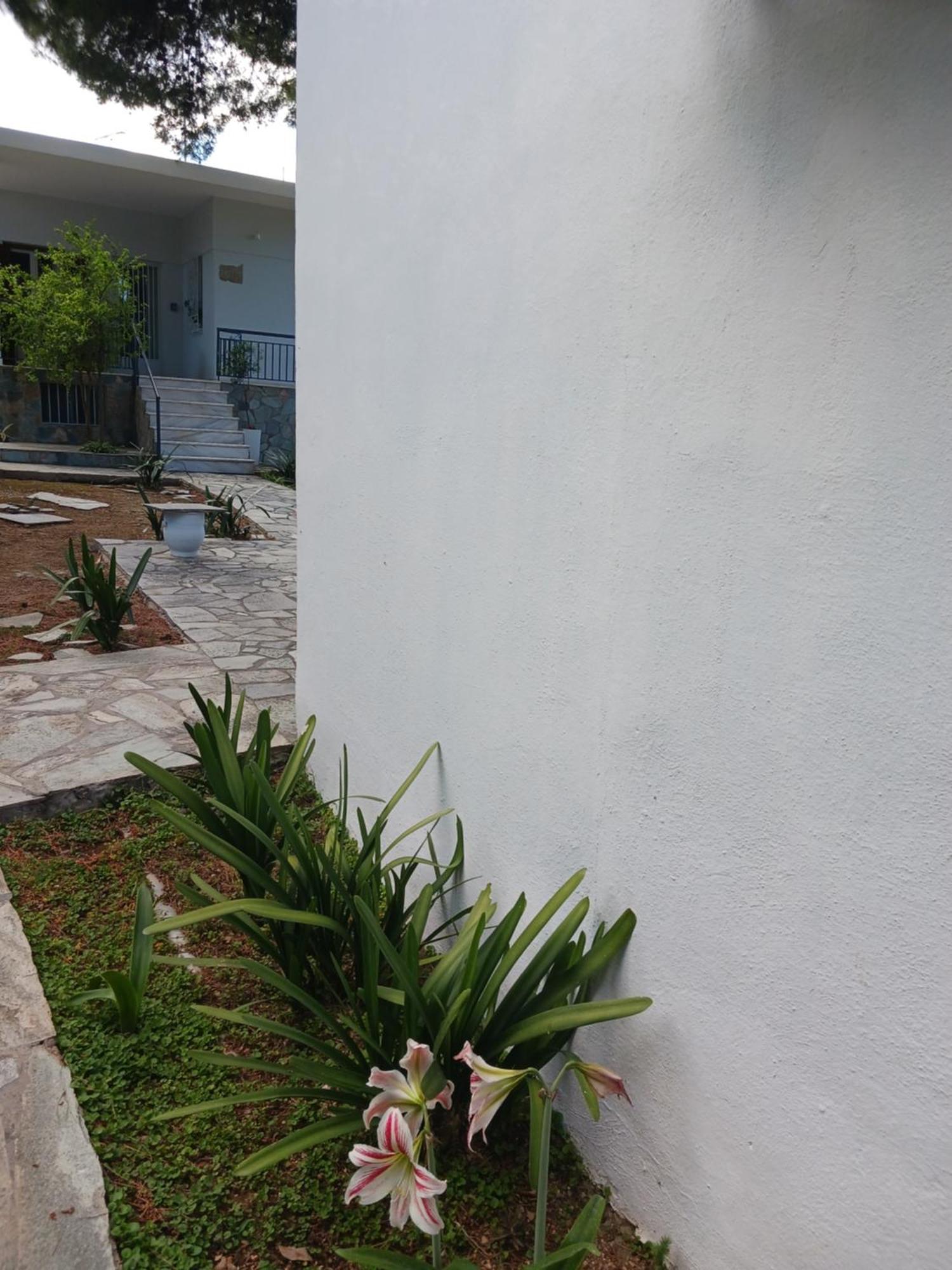 Theros & Trygos Boutique Houses - Ath Airport Loútsa Exterior foto